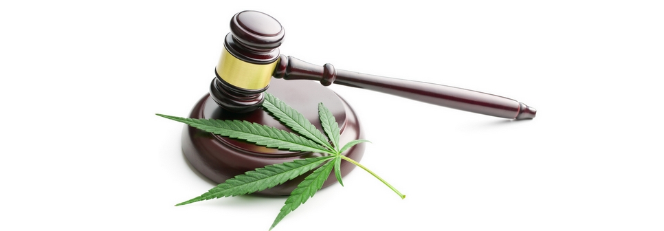 Légalisation totale de la consommation de cannabis ?